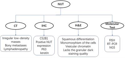 Case Report and Literature Review: Primary Pulmonary NUT-Midline Carcinoma